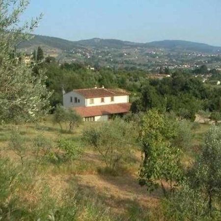 Apartament Il Frantoio Delle Grazie Florencja Zewnętrze zdjęcie