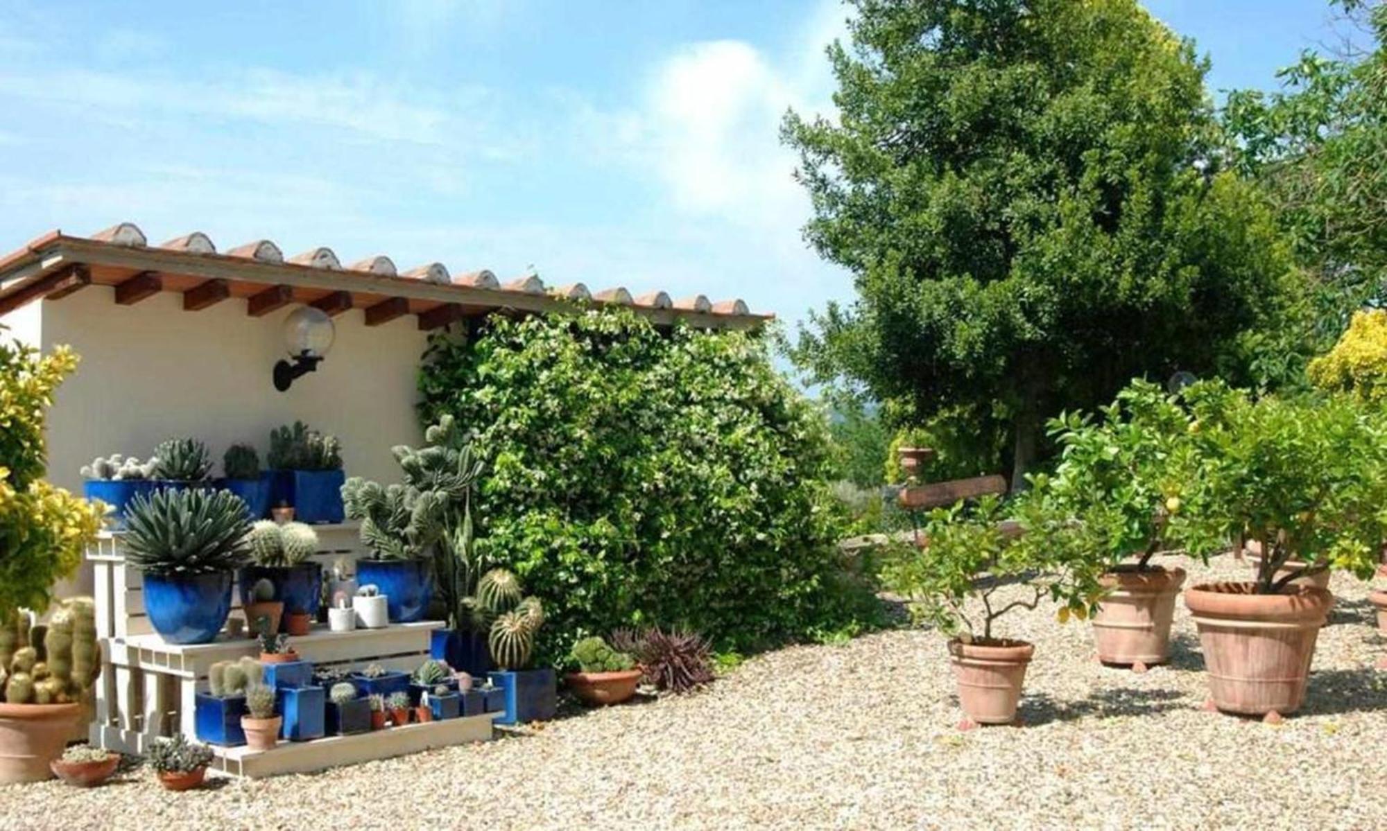 Apartament Il Frantoio Delle Grazie Florencja Zewnętrze zdjęcie